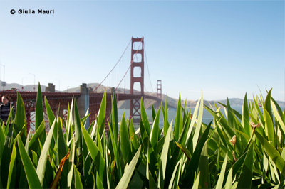 Golden Gate, San Francisco